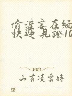 偷渡客在缅北送快递 见证100种逃亡