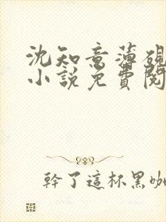 沈知意薄砚霆的小说免费阅读