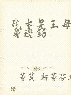 我本是王母娘娘身边的