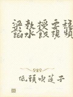 梁教授要稳住肉馅水饺视频