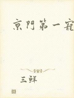 京门第一宠