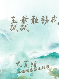 王爷敢动我妈咪试试