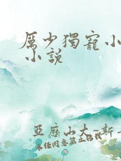 厉少独宠小娇妻 小说