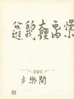 公的大龟慢慢挺进我体内小说