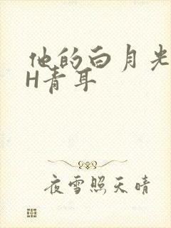 他的白月光HVH青耳