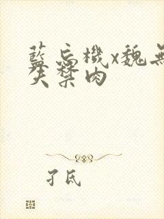 蓝忘机x魏无羡失禁肉