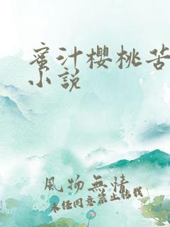 蜜汁樱桃苦咖啡小说