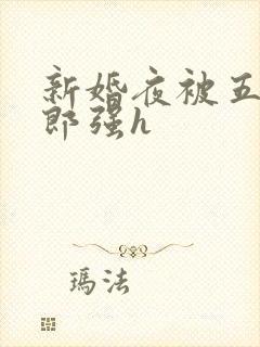 新婚夜被五个伴郎强h