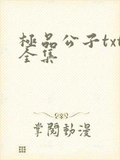 极品公子txt全集