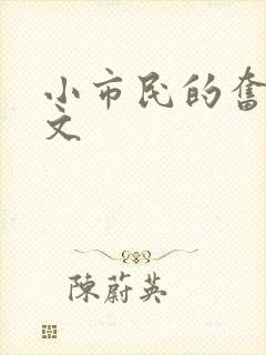 小市民的奋斗燃文