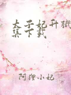 太子妃升职记全集下载