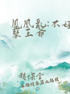 凤凰乱:不嫁妖孽王爷
