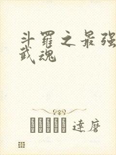 斗罗之最强治疗武魂