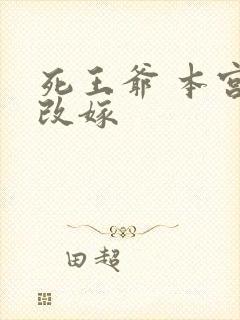 死王爷 本宫已改嫁