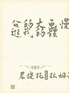 公的大龟慢慢挺进我的体