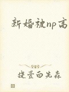 新婚被np高h
