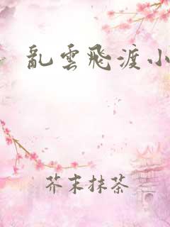 乱云飞渡小说