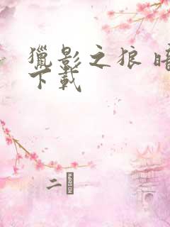 猎影之狼 暗夜下载