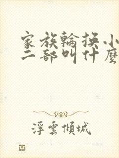 家族轮换小说第二部叫什么名字