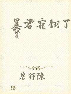 暴君宠翻了小娇宝