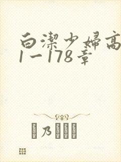 白洁少妇高义第1一178章