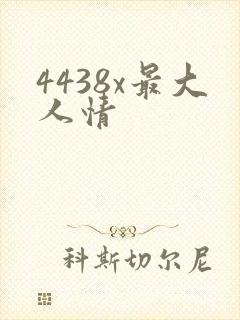 4438x最大人情