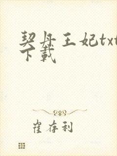 契丹王妃txt下载
