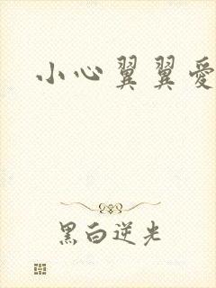 小心翼翼爱上你