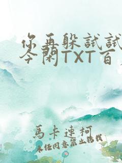 你再躲试试BY今闲TXT百度网盘