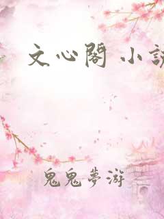 文心阁 小说