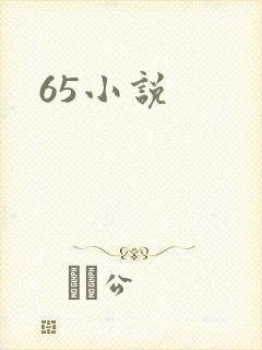 65小说