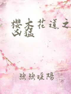 樱木花道之重生凶猛