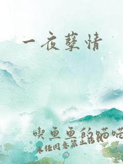 一夜孽情