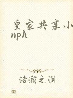 皇家共享小公主nph