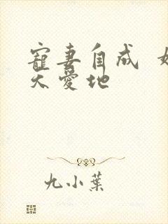 宠妻自成  婚天爱地