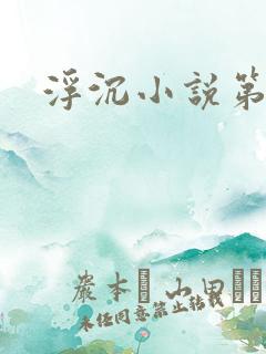 浮沉小说第二部