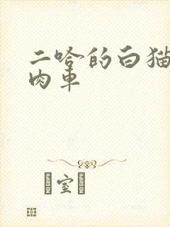 二哈的白猫师尊肉车