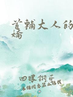 首辅大人的掌心娇