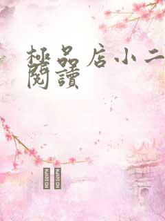 极品店小二全文阅读