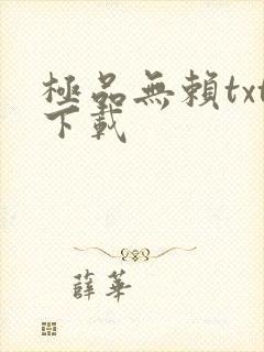 极品无赖txt下载