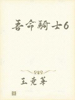 吾命骑士6