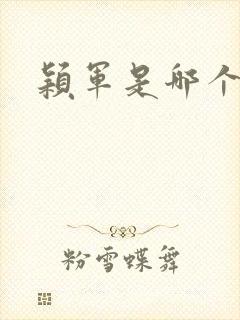 颖军是哪个军阀