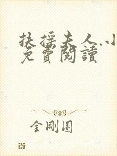 扶摇夫人.小说免费阅读