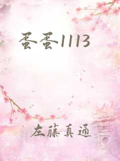 蛋蛋1113