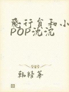 飞行员和小空乘POP沈沉