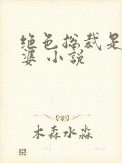 绝色总裁是我老婆 小说