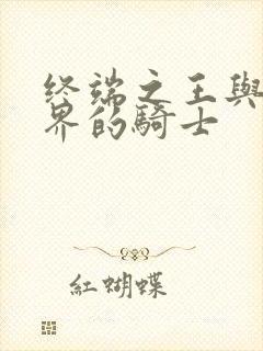 终端之王与异世界的骑士