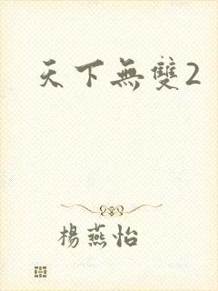 天下无双2
