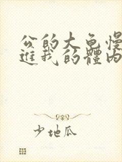 公的大龟慢慢挺进我的体内