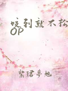 咬到就不松口POP